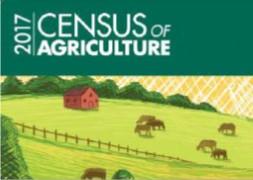 2017 Census Report cover