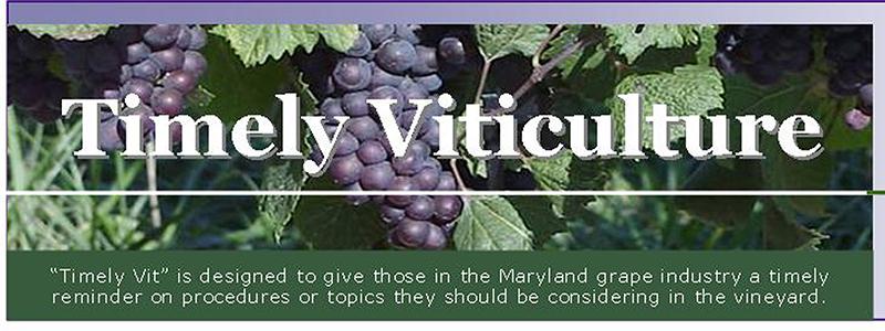 Timely Viticulture Newsletter