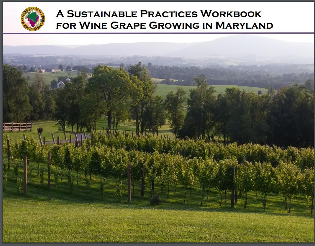 Sustainable Practices for Grape Growers
