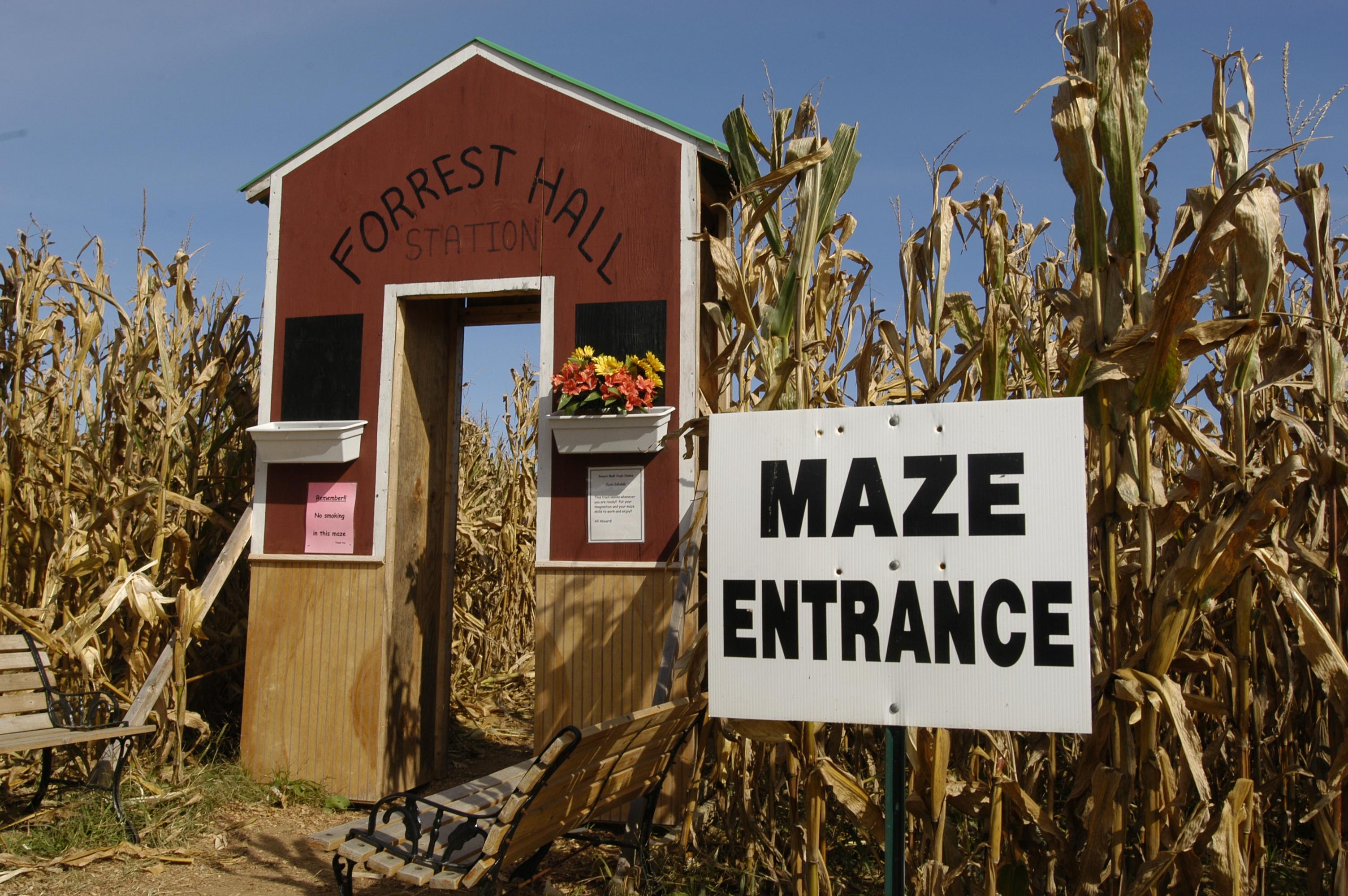 Corn maze entrance