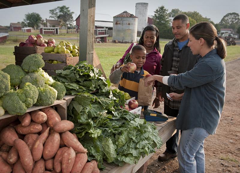 Family purchasing product at farm stand