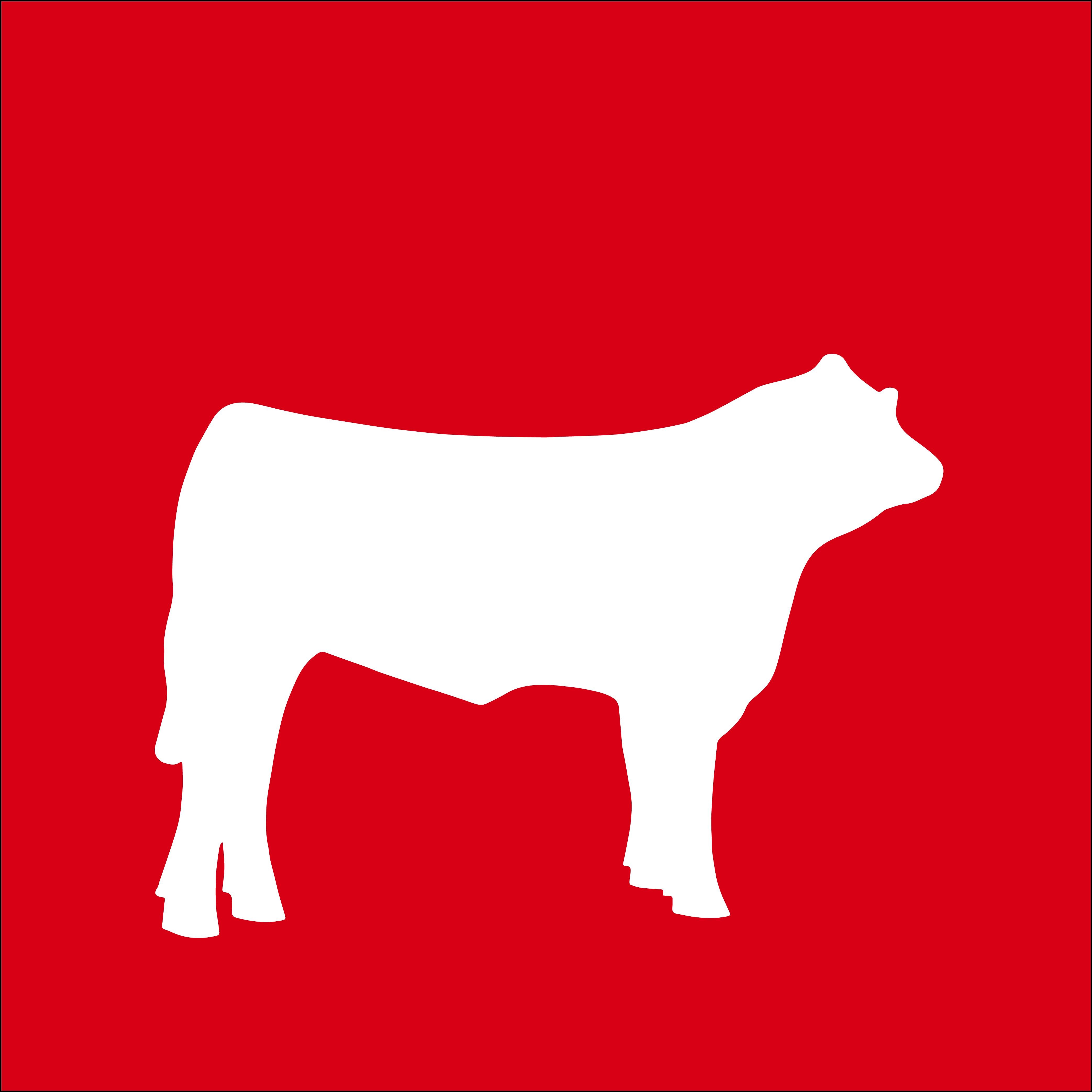Beef icon 2