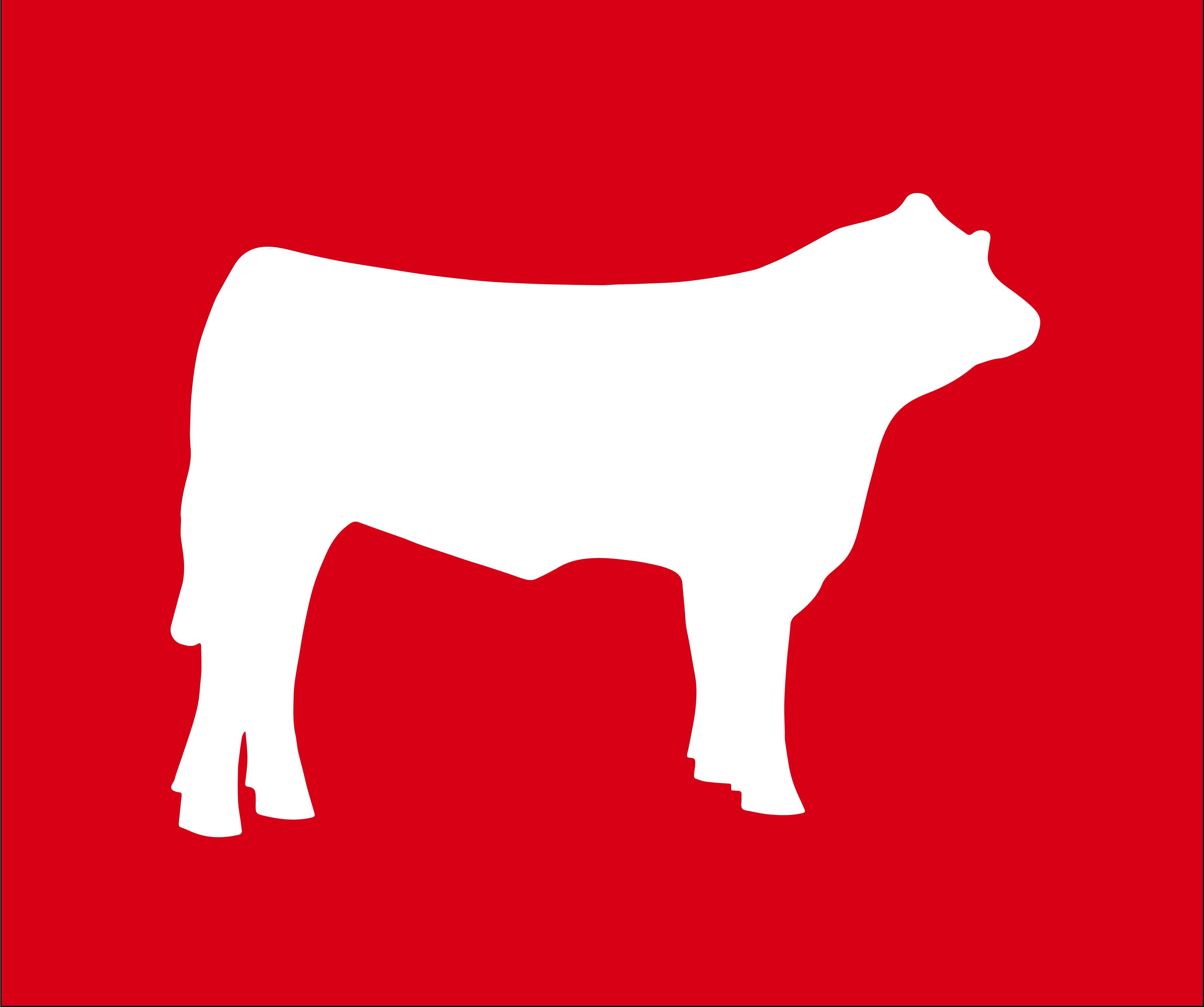 Beef Icon 2