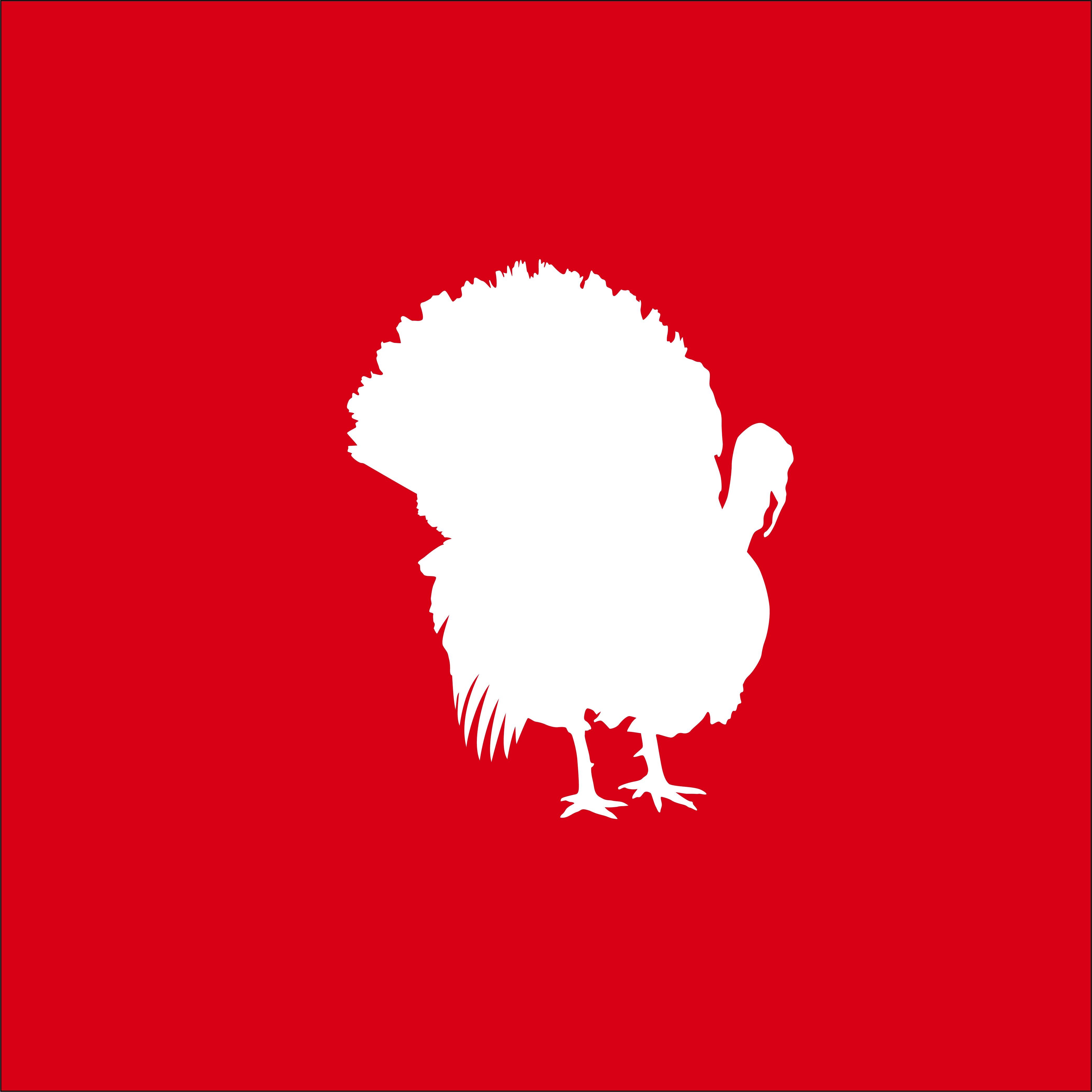 Turkey icon 2