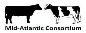 Mid-Atlantic Consortium logo