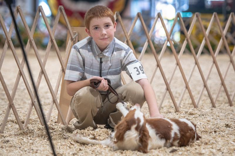 4-H member with their dog