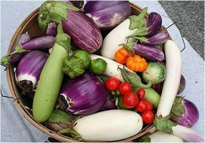 Photo of eggplants, mixed vegetables