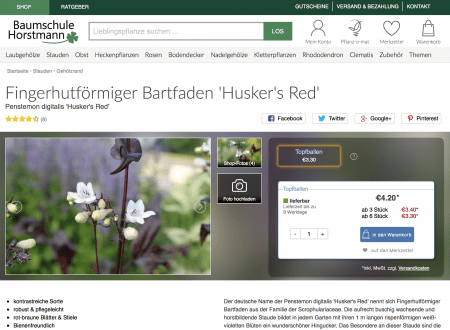 website showing sales of Huskers Red penstemon plants