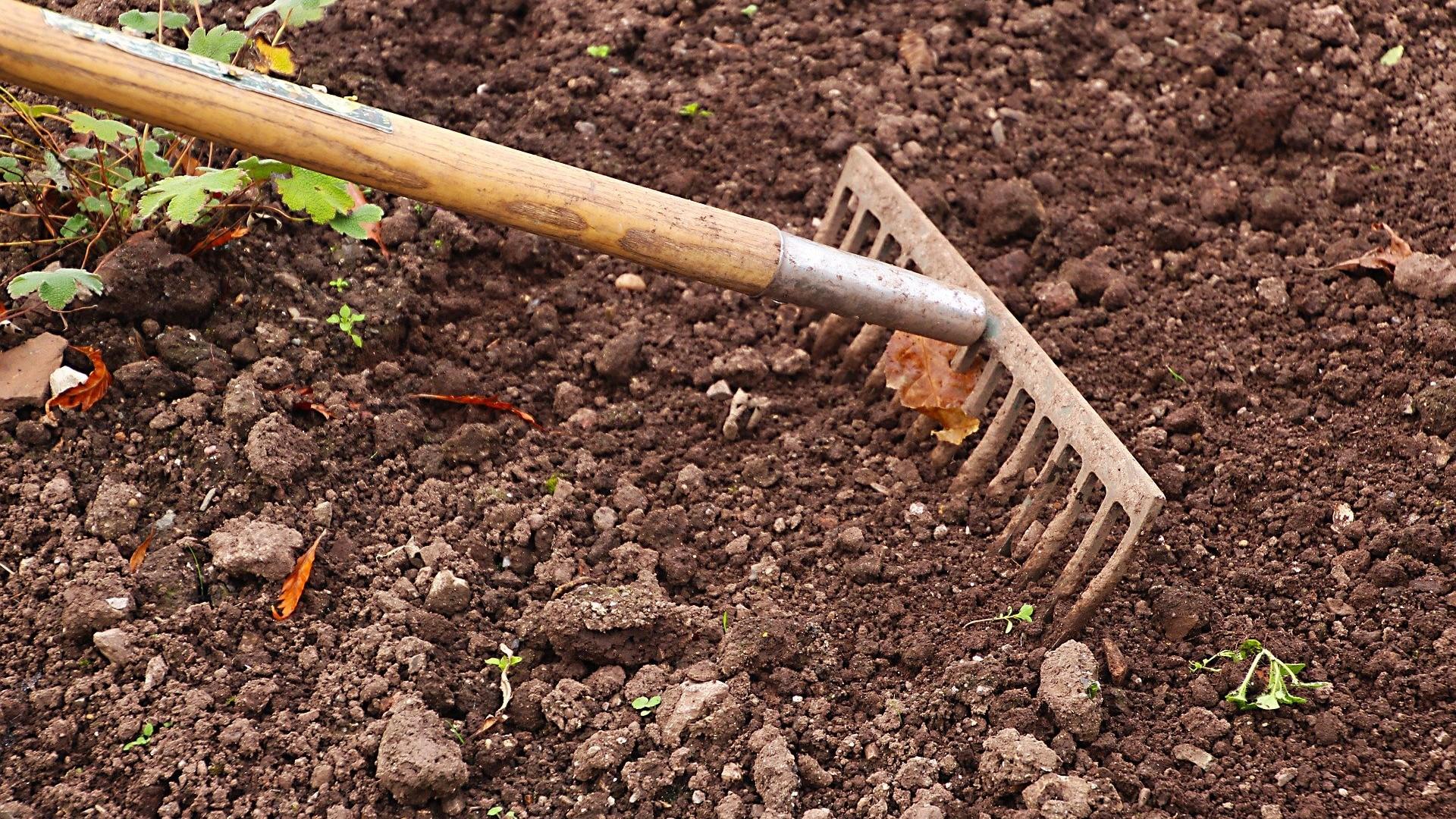 soil and a rake