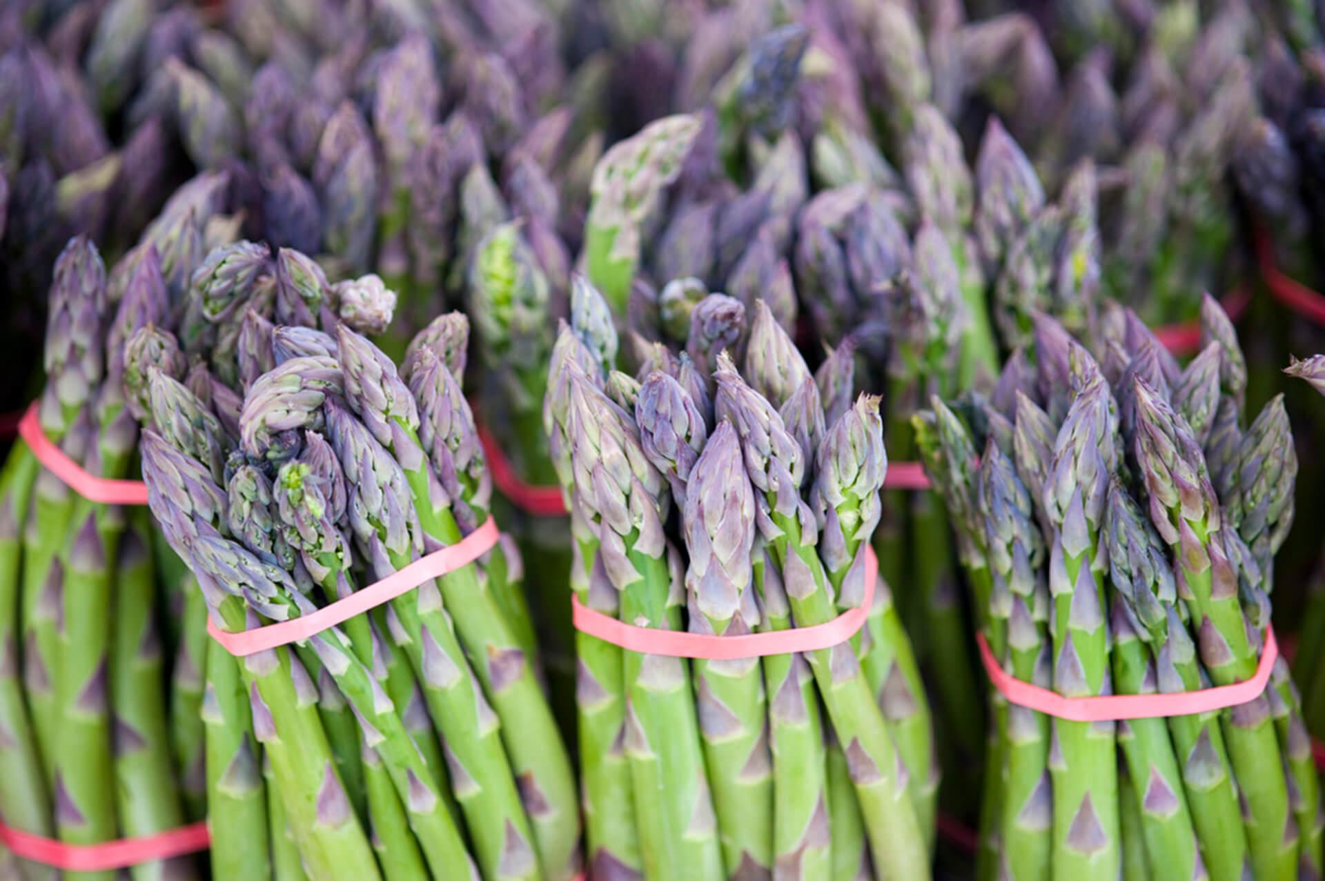 Bushels of green asparagus with purple colored tops