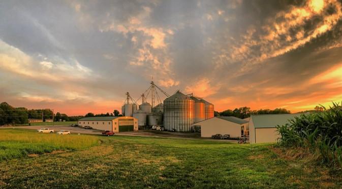 farm at sunset
