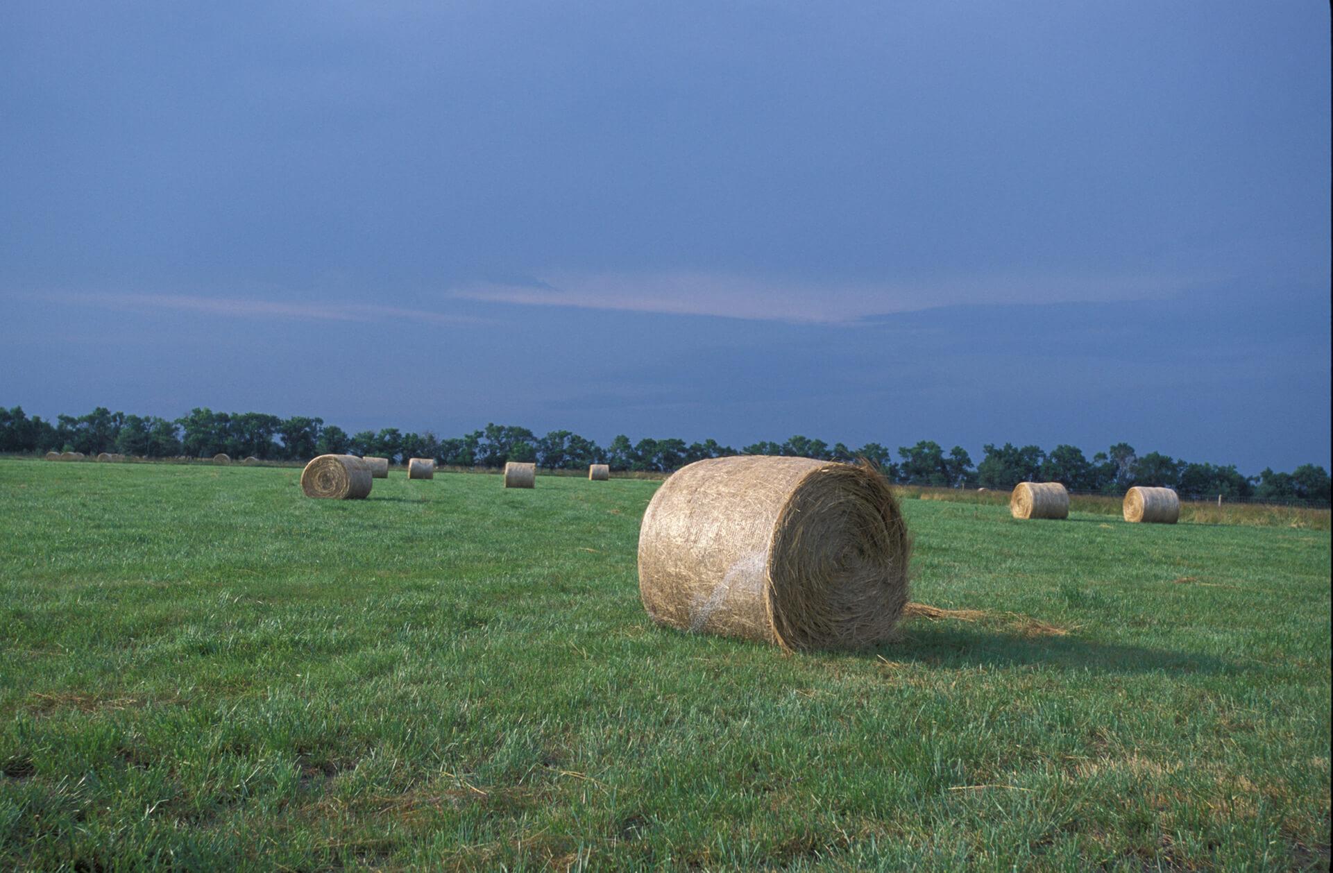 Bale of hay on a green field with a stormy sky background