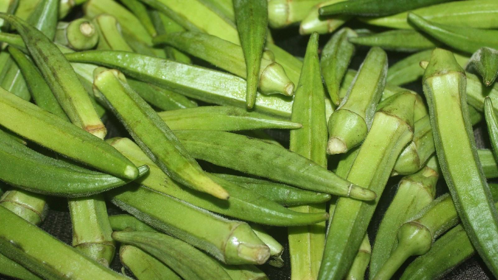 Growing Okra in a Home Garden | University of Maryland Extension