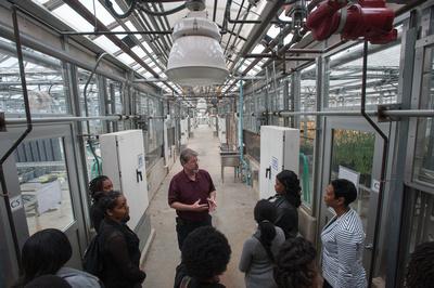 4-h Youth Visit Campus Greenhouse