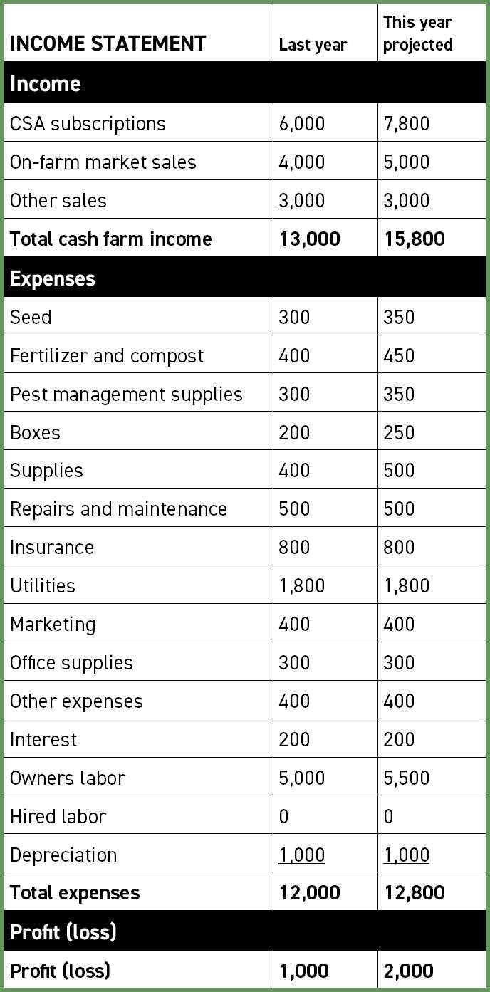 Fig. 1: Example income statement. The income statement records historical income, expenses, and profits and projects estimated income, expenses, and profits for the coming year. 
