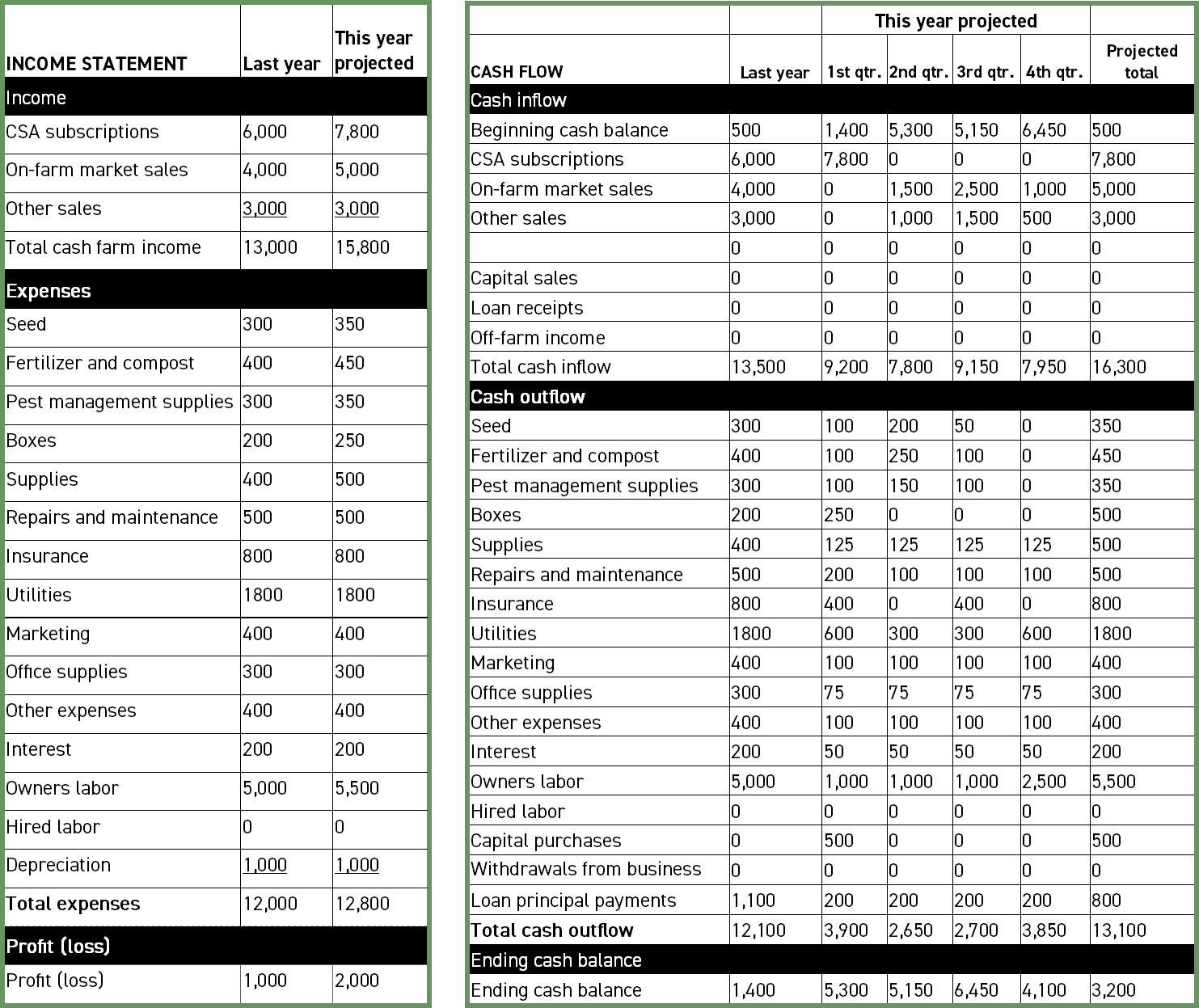 Figure 4: Income statement and cash flow for example farm. Note the differences and similarities between these two financial statements. Compare what is included here with the formulas in Figure 3.