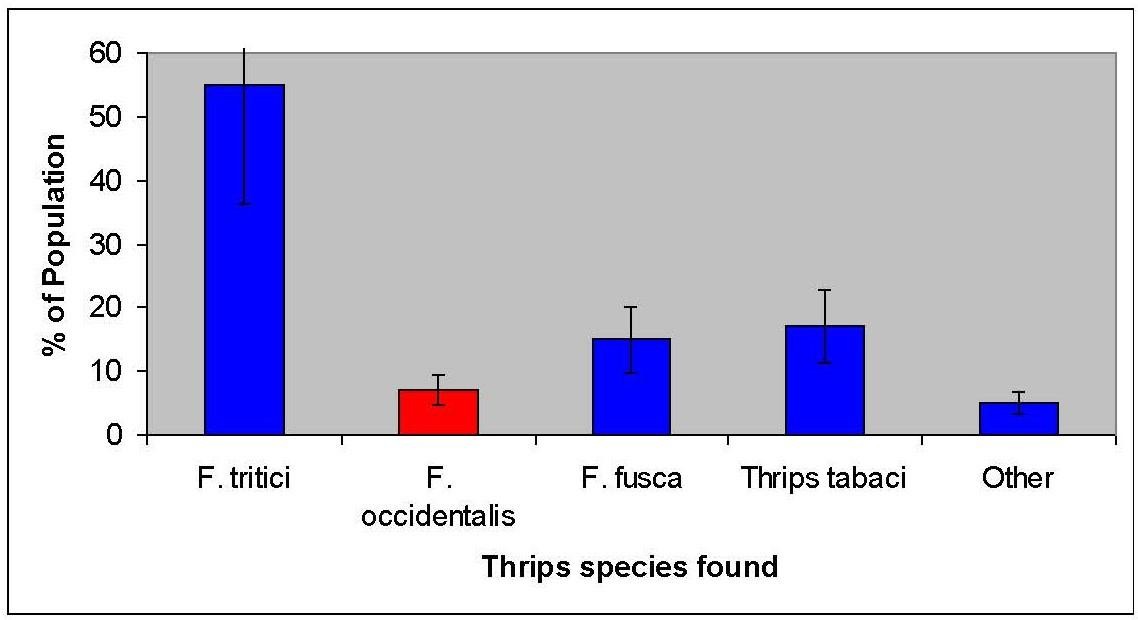 Fig. 3 shows the proportion of thrips species found to overwinter at the 12 sample sites. F. tritici =Eastern flower thrips, F. occidentalis=Western flower thrips, F. fusca=Tobacco thrips and Thrips tabaci=Onion thrips