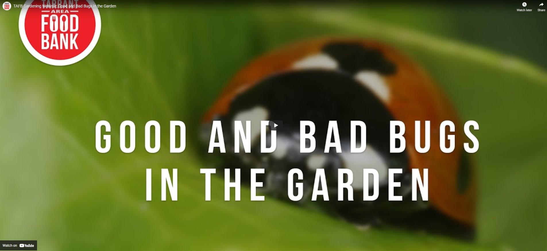 Video Good and Bad Bugs in the Garden