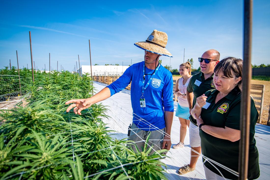 LEAD Class XI learns about hemp production