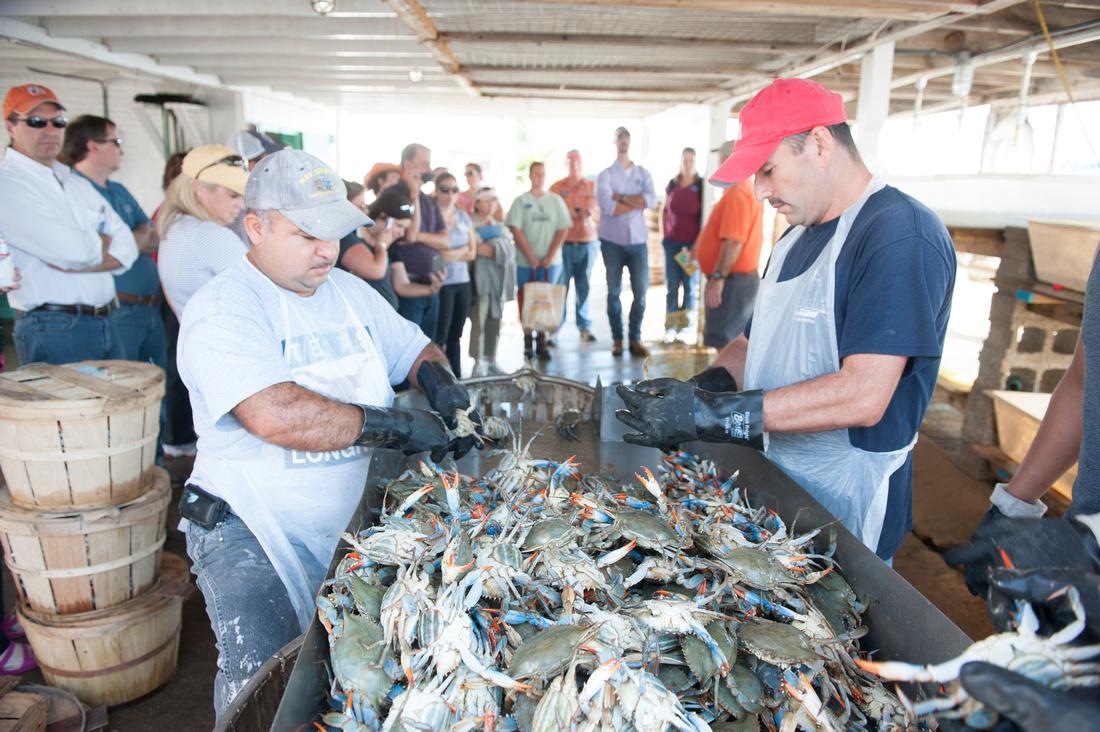 LEAD Class 7 visits a packing house in Dorchester County