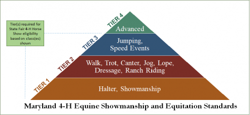 MD 4-H Equine Showmanship and Equitation Standards Framework
