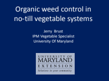 Organic Weed Control in No-Till Vegetable Systems