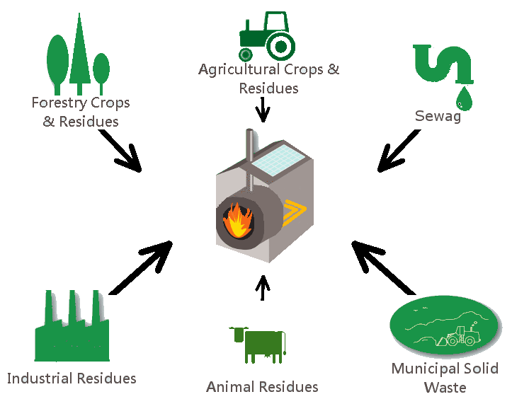 Types of biomass diagram