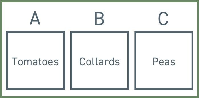 Figure 15: Start thinking about crop rotation by imagining you have three beds (A, B, and C), and you plant the same crop in each bed every year.