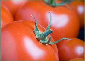 Figure 1: What makes your tomatoes different from all the other tomatoes your customers could buy? Photo by Edwin Remsberg, © University of Maryland—AGNR Image Library. 