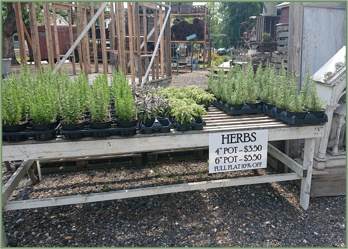 Figure 3: Urban agriculture businesses where customers come onto the property, such as garden centers, farm stands, and agritourism operations, should consider purchasing premise liability insurance. Photo by Neith Little, UMD Extension, taken at Walther Gardens, Baltimore, MD.