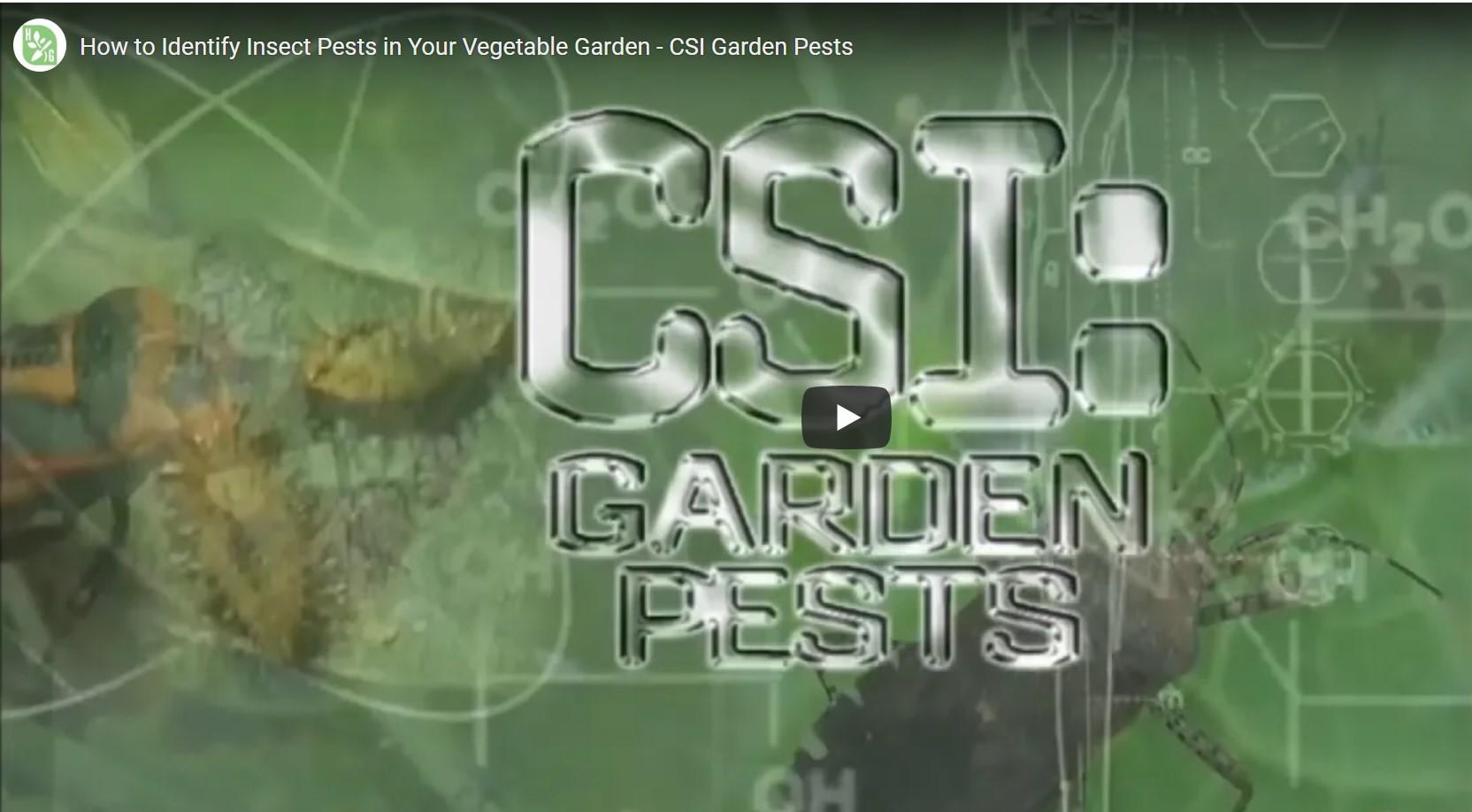 Identifying Garden Pests
