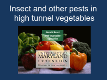 Insects and Other Pests in High Tunnel Vegetables