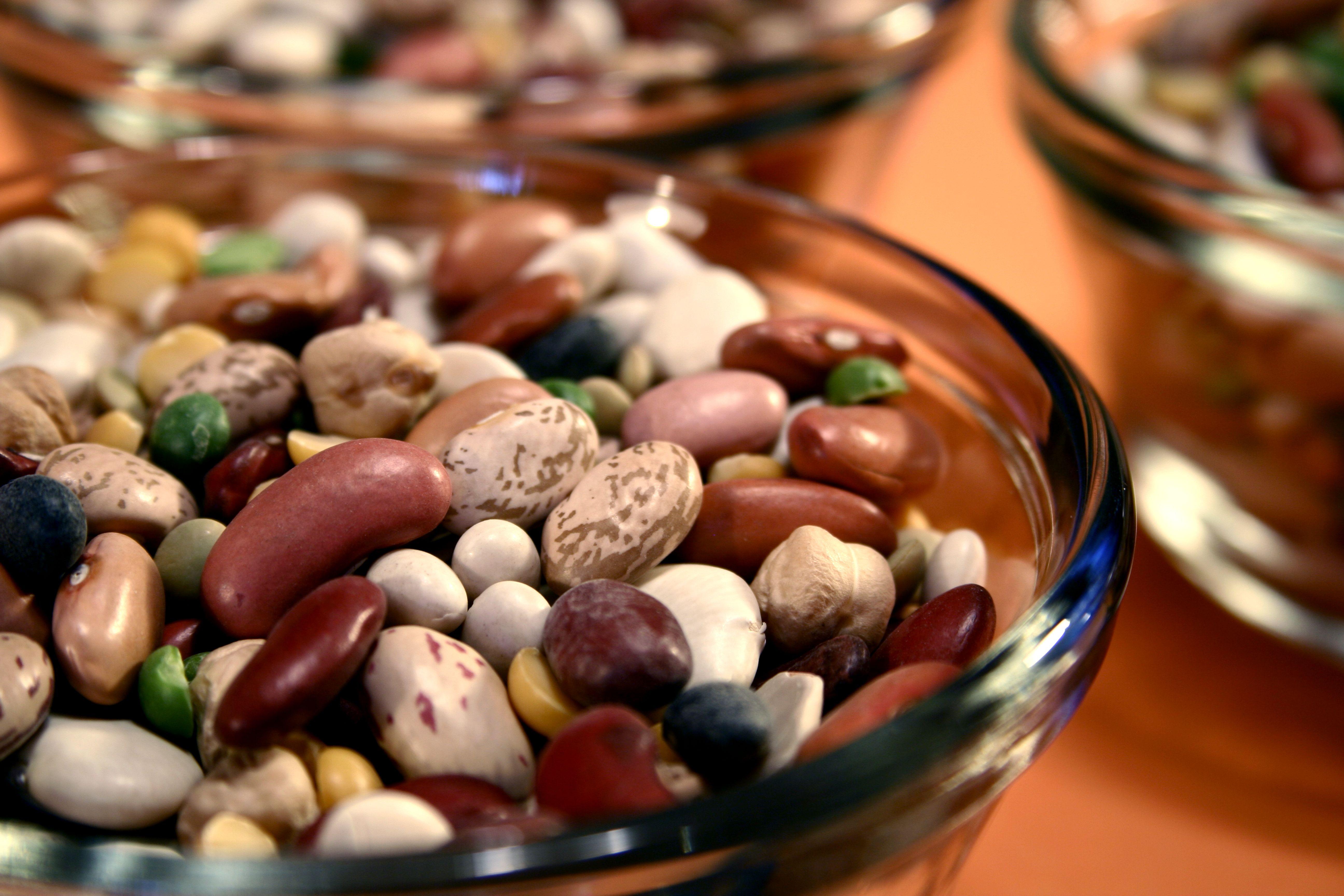 A small bowl with a variety of dried beans.