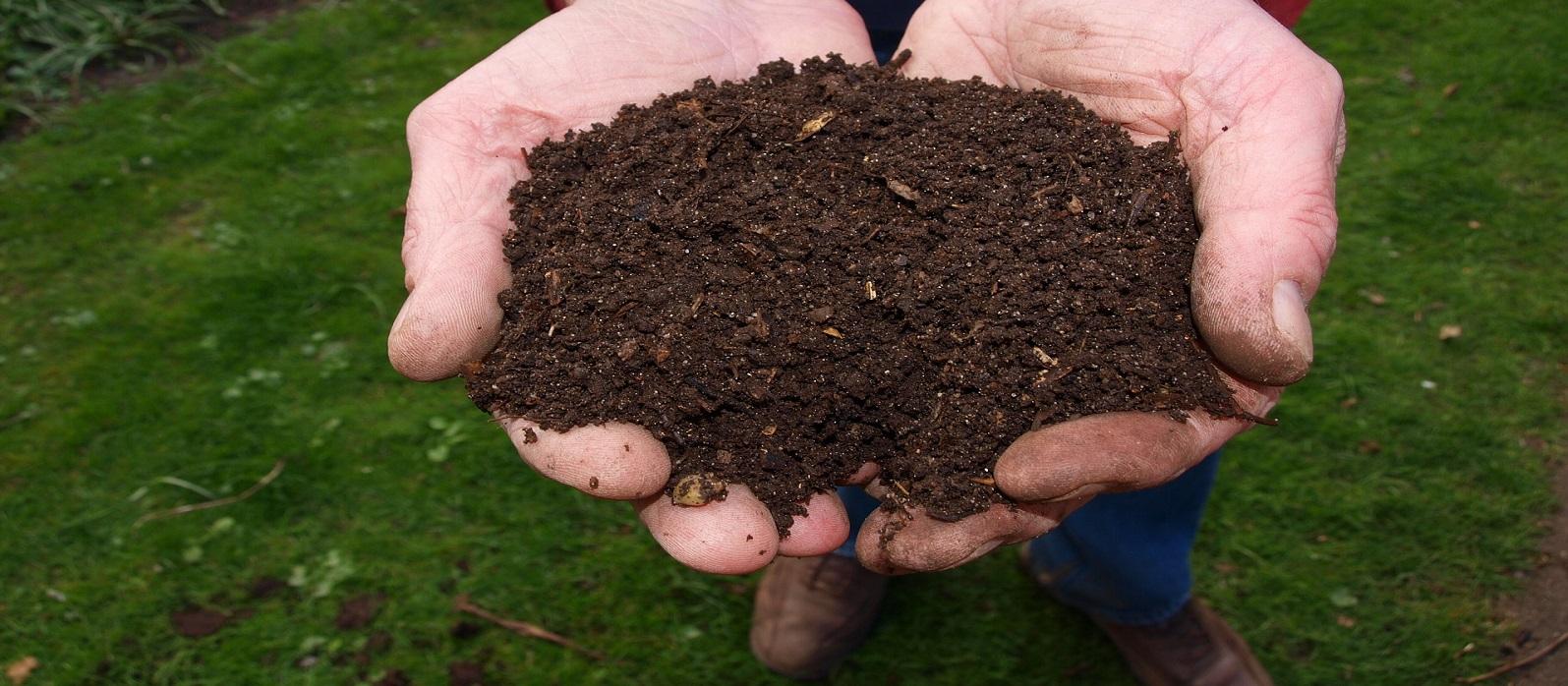 Soil to Fill Raised Beds | University of Maryland Extension