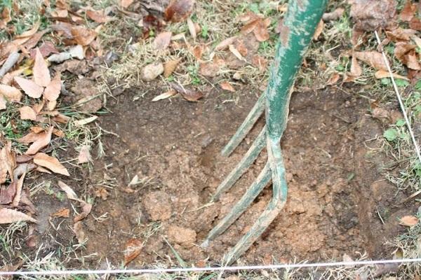 garden fork in soil