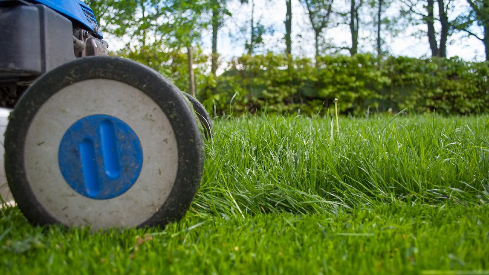 Mowing or Grasscycling Lawns University of Maryland Extension