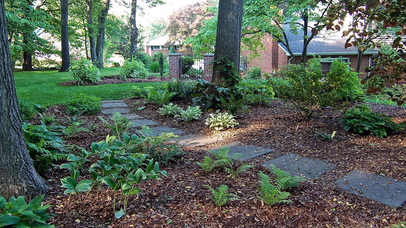 Lawn Alternatives University Of, How To Landscape A Steep Slope For Beauty And Low Maintenance