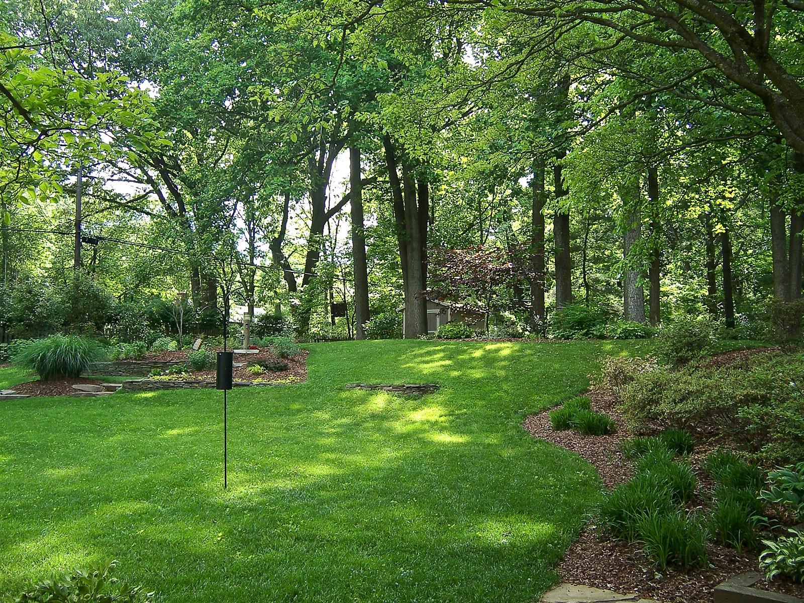 Grass that store grows in shade