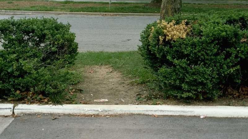 Paths typically contain compacted soil