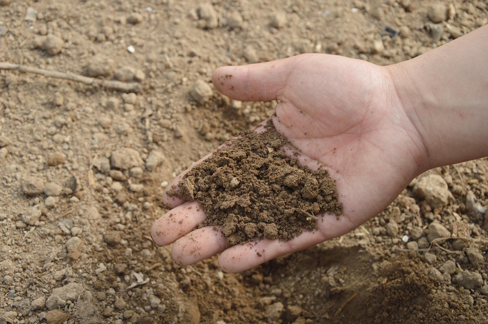 handfull of soil