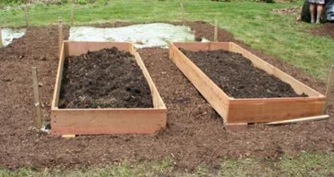 soil added to raised beds