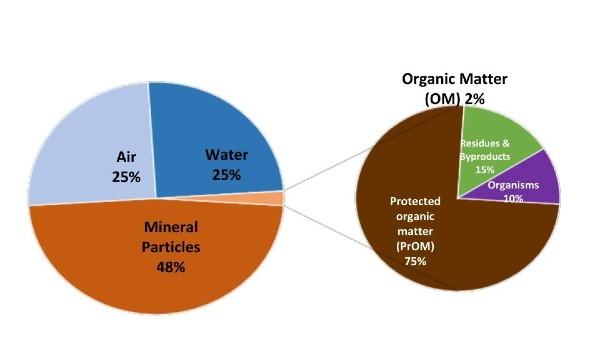 soil organic matter graphic