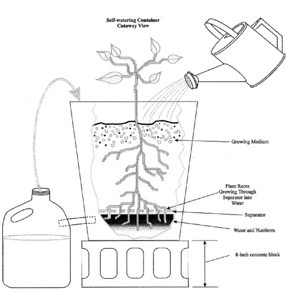 cutaway illustration of how the self-watering container works