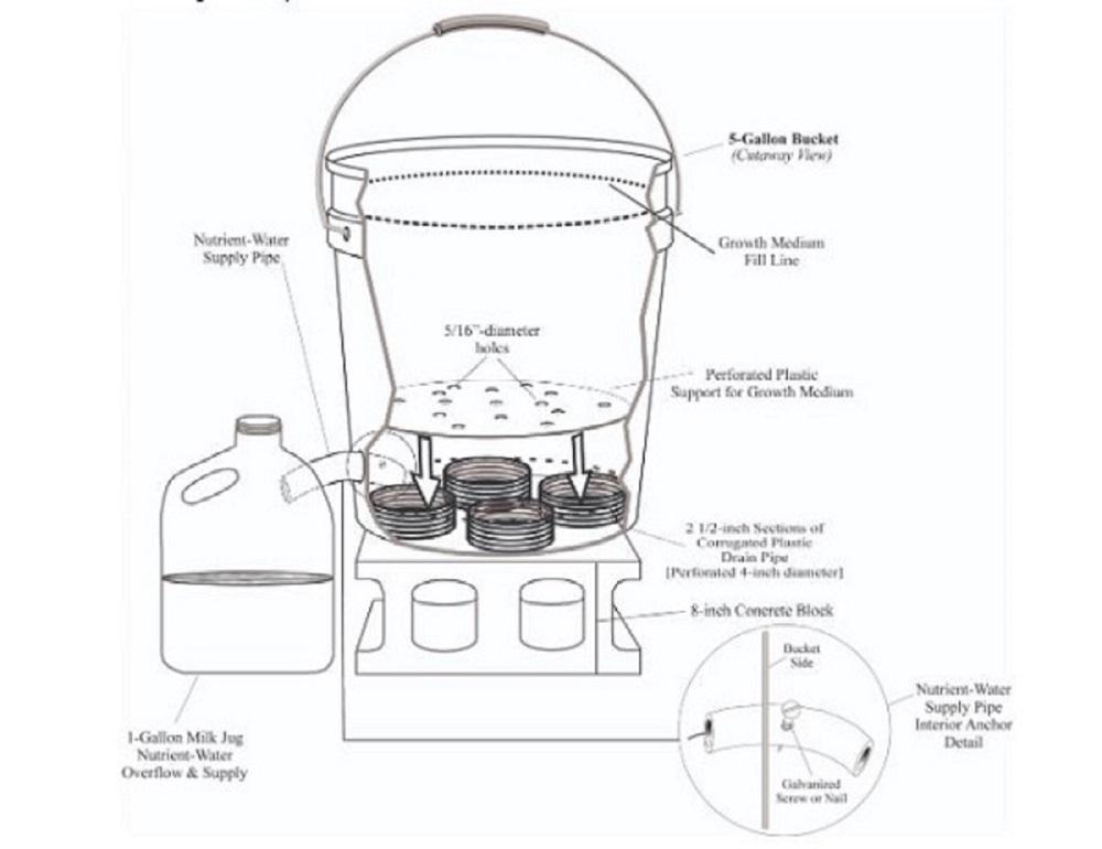illustration of a completed self-watering container