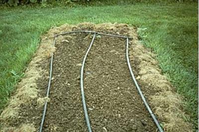 drip irrigation in vegetable bed