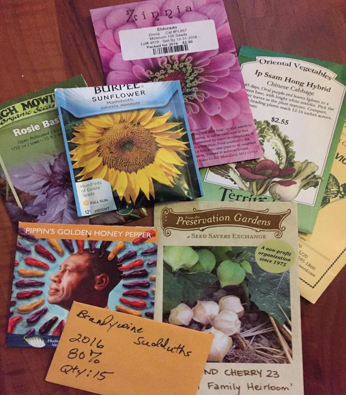 an array of vegetable seed catalogs