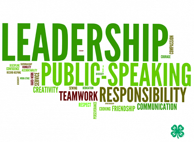 words describing leadership