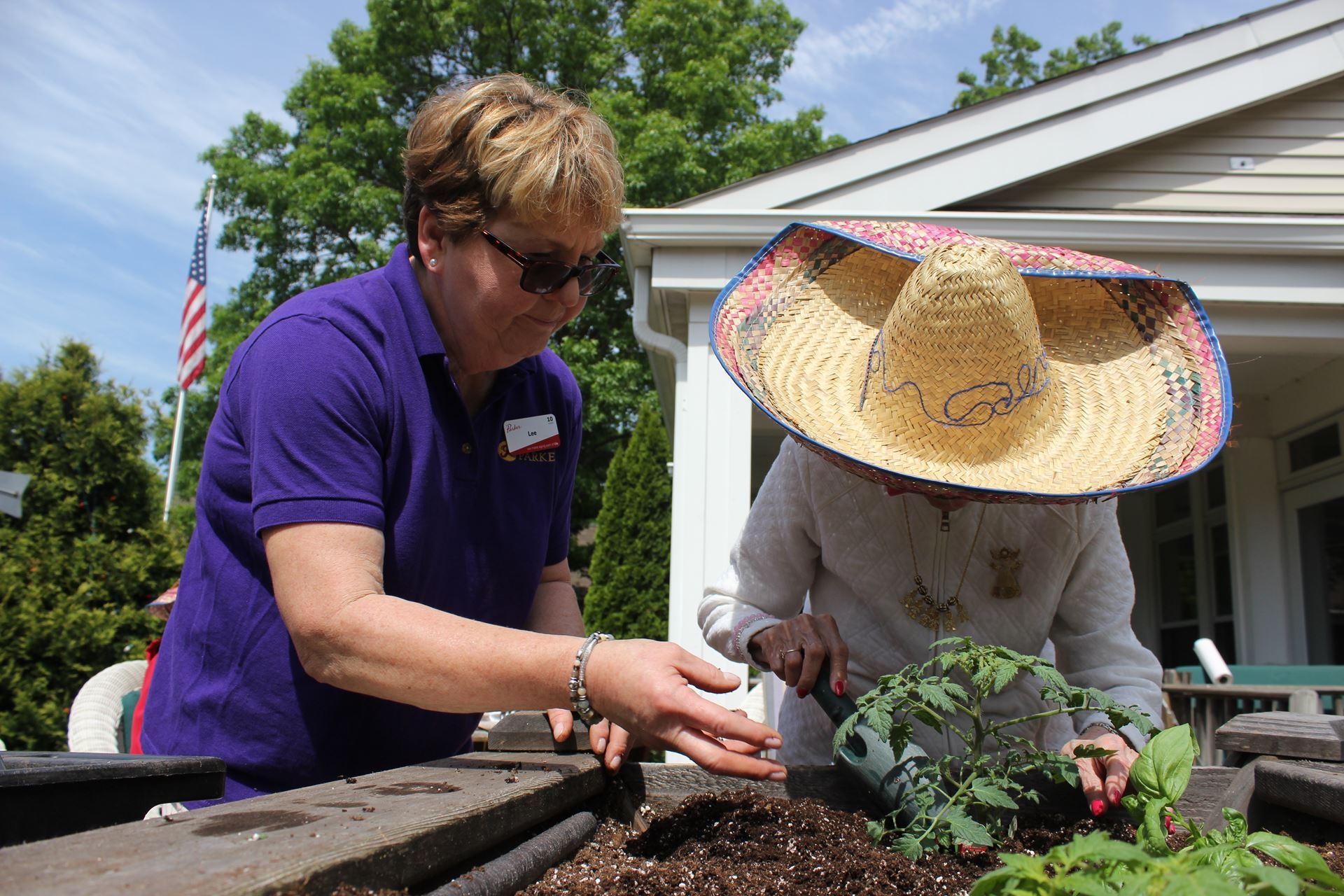 planting in a garden 