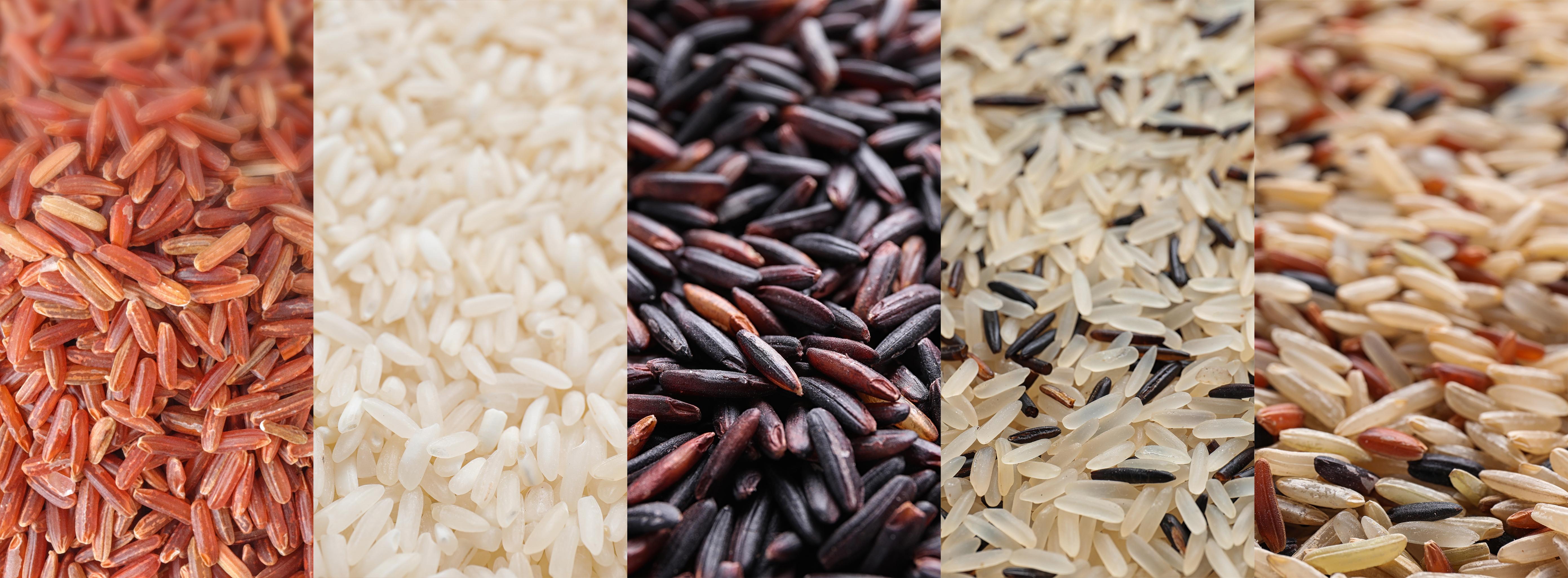 A variety of different rice - -white, red, brown, long grain (Shutterstock -- LW rights)