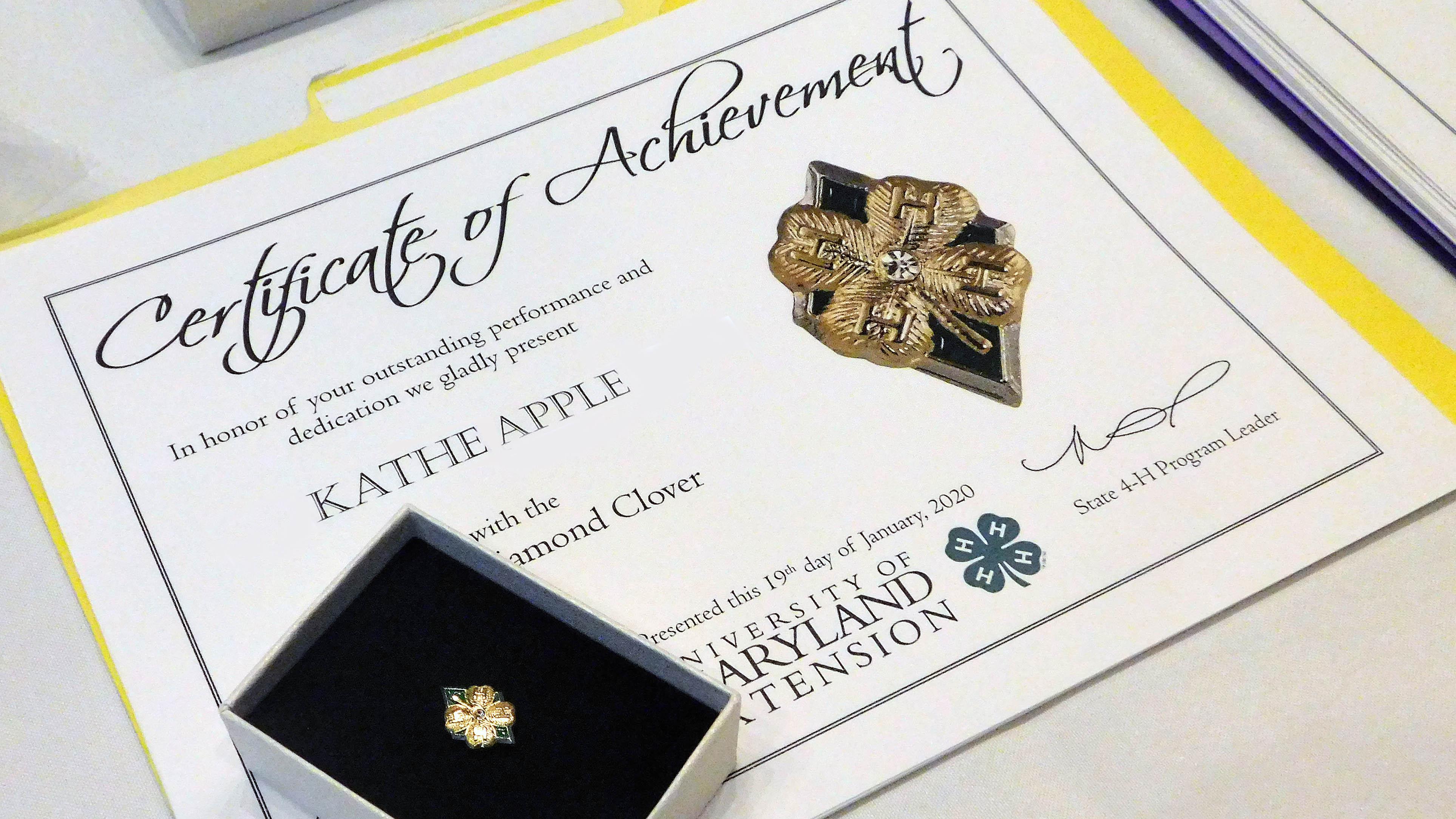 Diamond Clover Award and certificate